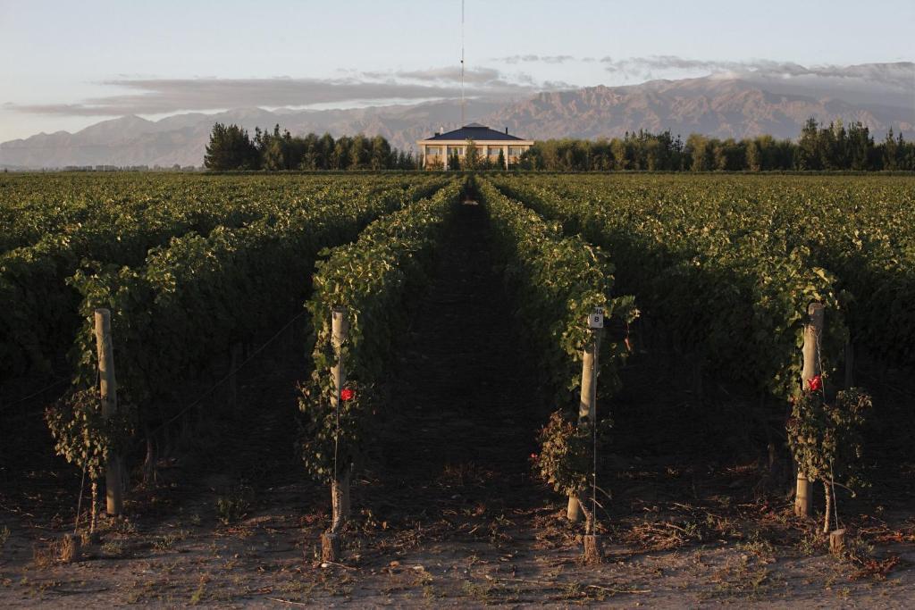 Casa Antucura Wine Boutique Hotel Tunuyán Exteriör bild